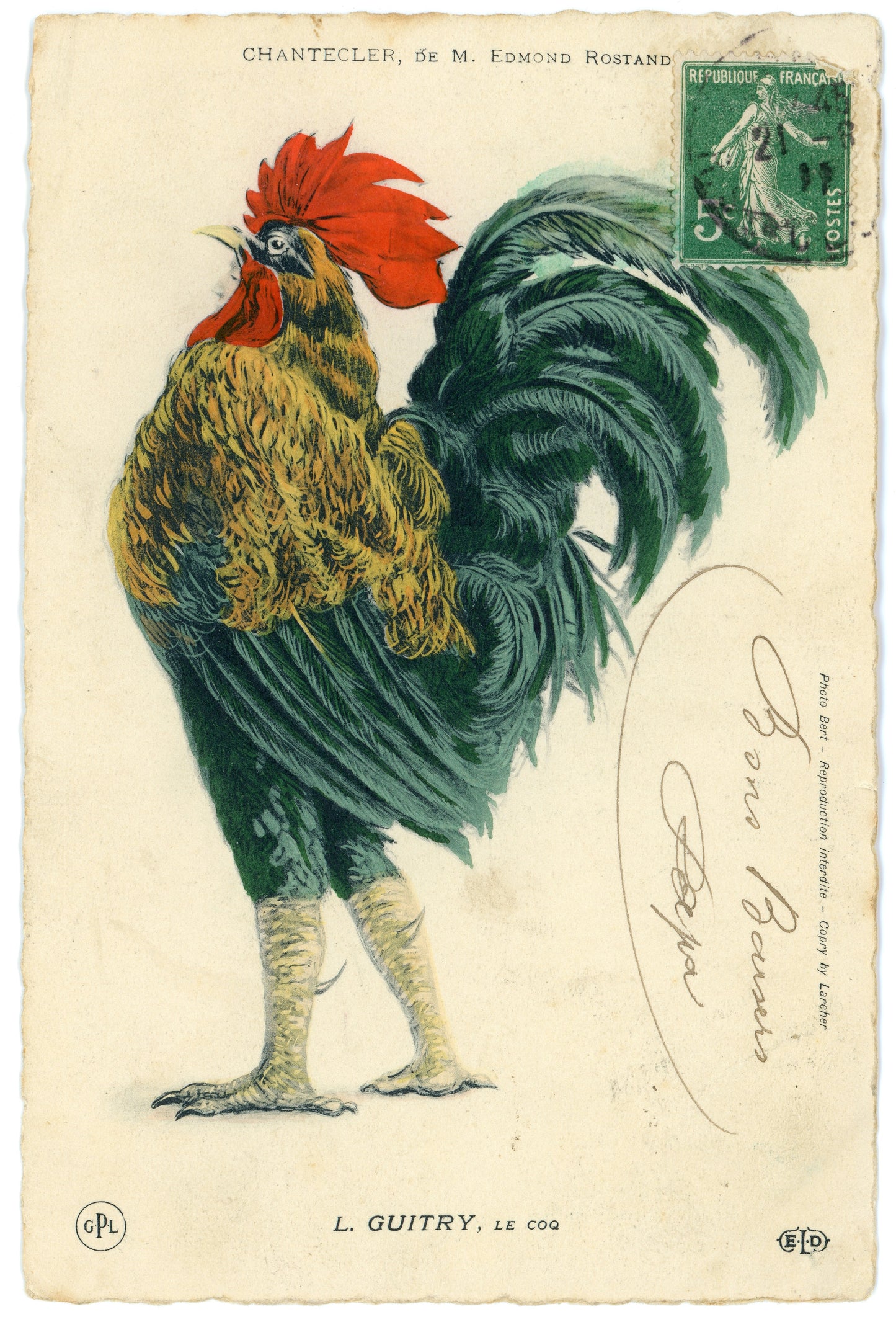 Large Rooster