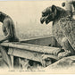 Paris Pair of Gargoyles on Notre Dame Overlooking the City (1900-1910) – Wall Art