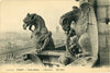 1900s Notre Dame Gargoyles - Iconic Parisian Guardians – Wall Art