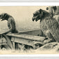 Paris Pair of Gargoyles on Notre Dame Overlooking the City (1900-1910) – Wall Art