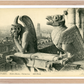 Notre Dame Gargoyle & Paris View (1900-1910) – Wall Art