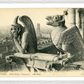 Notre Dame Gargoyle & Paris View (1900-1910) – Wall Art