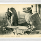 Notre Dame Gargoyle & Paris View (1900-1910) – Wall Art