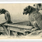 Paris Pair of Gargoyles on Notre Dame Overlooking the City (1900-1910) – Wall Art