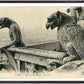 Paris Pair of Gargoyles on Notre Dame Overlooking the City (1900-1910) – Wall Art