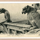 Paris Pair of Gargoyles on Notre Dame Overlooking the City (1900-1910) – Wall Art