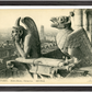 Notre Dame Gargoyle & Paris View (1900-1910) – Wall Art