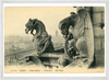 1900s Notre Dame Gargoyles - Iconic Parisian Guardians – Wall Art