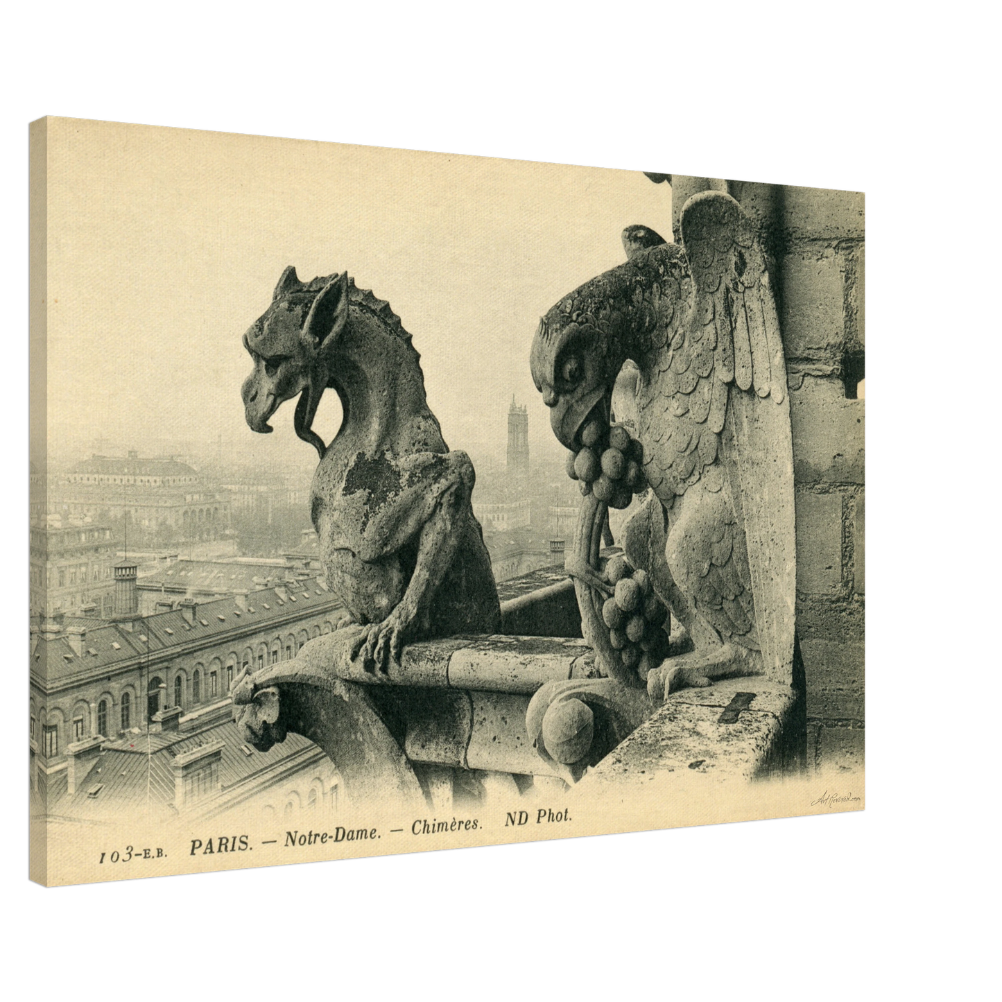 1900s Notre Dame Gargoyles - Iconic Parisian Guardians – Wall Art