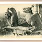 Notre Dame Gargoyle & Paris View (1900-1910) – Wall Art