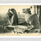 Notre Dame Gargoyle & Paris View (1900-1910) – Wall Art