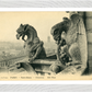 1900s Notre Dame Gargoyles - Iconic Parisian Guardians – Wall Art