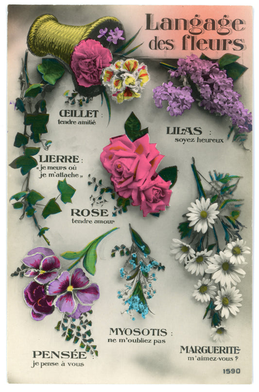 Language of Flower: Seven Flowers Vintage Wall Art Canvas (1900-1910)