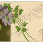 Violet flowers