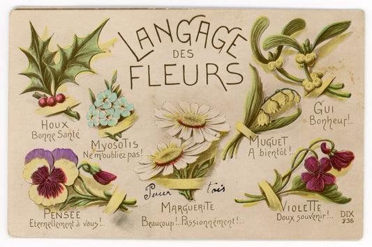 Language des Fleurs Vintage Wall Art Canvas Set (1900-1910)