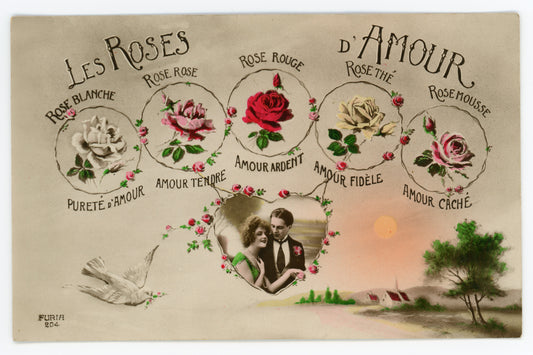 The Roses Of Love