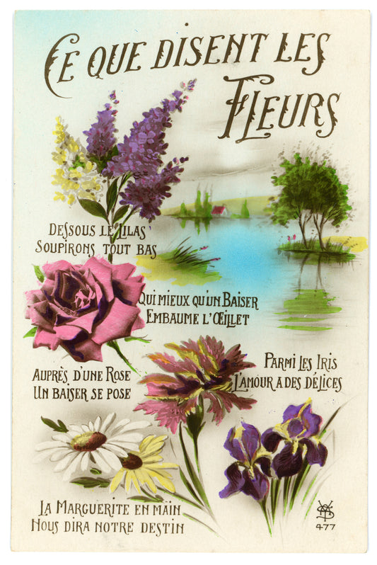 What the Flowers Say - Vintage Wall Art Canvas Set (06-26-1933)