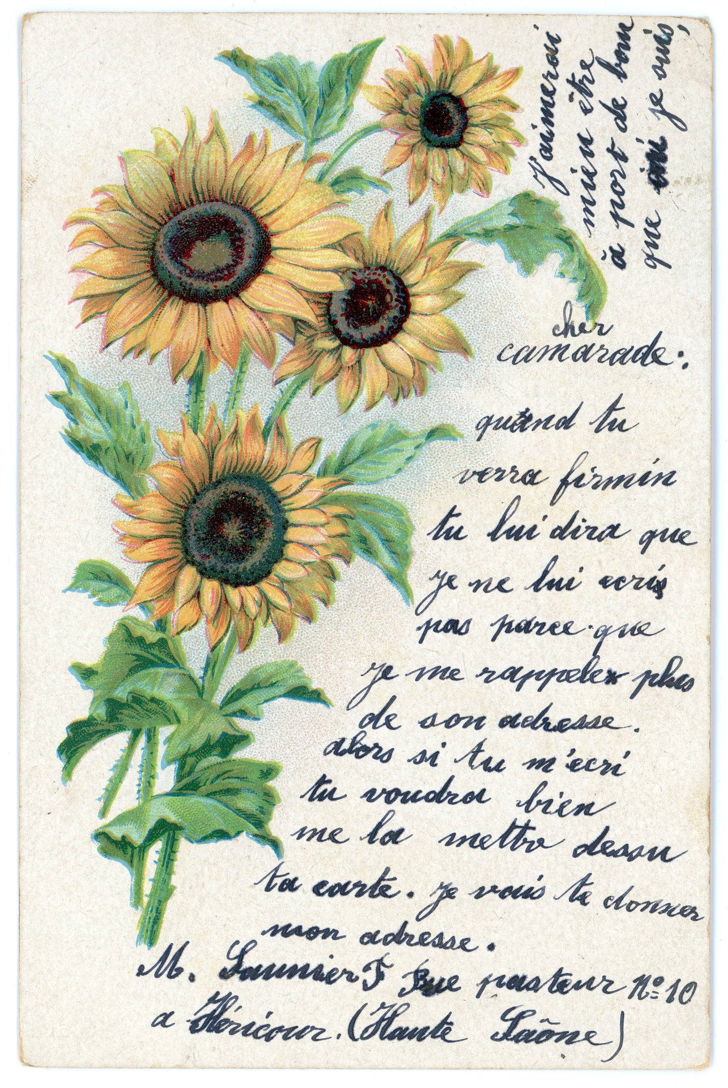 Vintage Sunflowers Wall Art Canvas - Art Revived (03-31-1904)