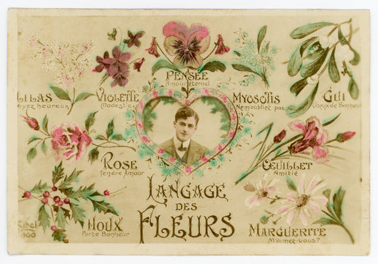 Language of Flowers by Sibel Painter: Vintage Wall Art Canvas (02-19-1913)