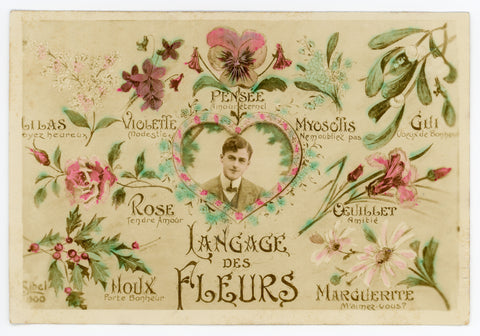 Language of flowers, Artist SIBEL painter