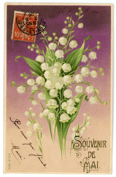 Vintage Lilies of the Valley Wall Art Canvas (05-02-1908)