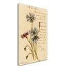 Vintage Red and Blue Flowers Wall Art Canvas (1904)