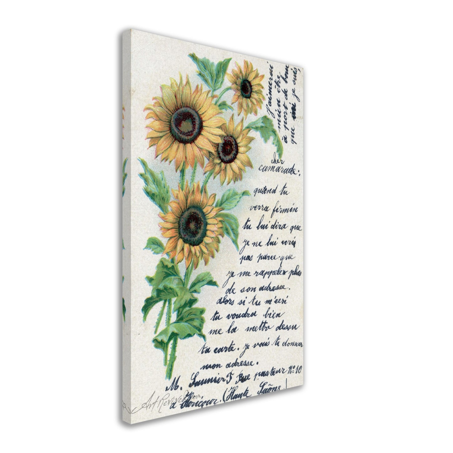 Vintage Sunflowers Wall Art Canvas - Art Revived (03-31-1904)