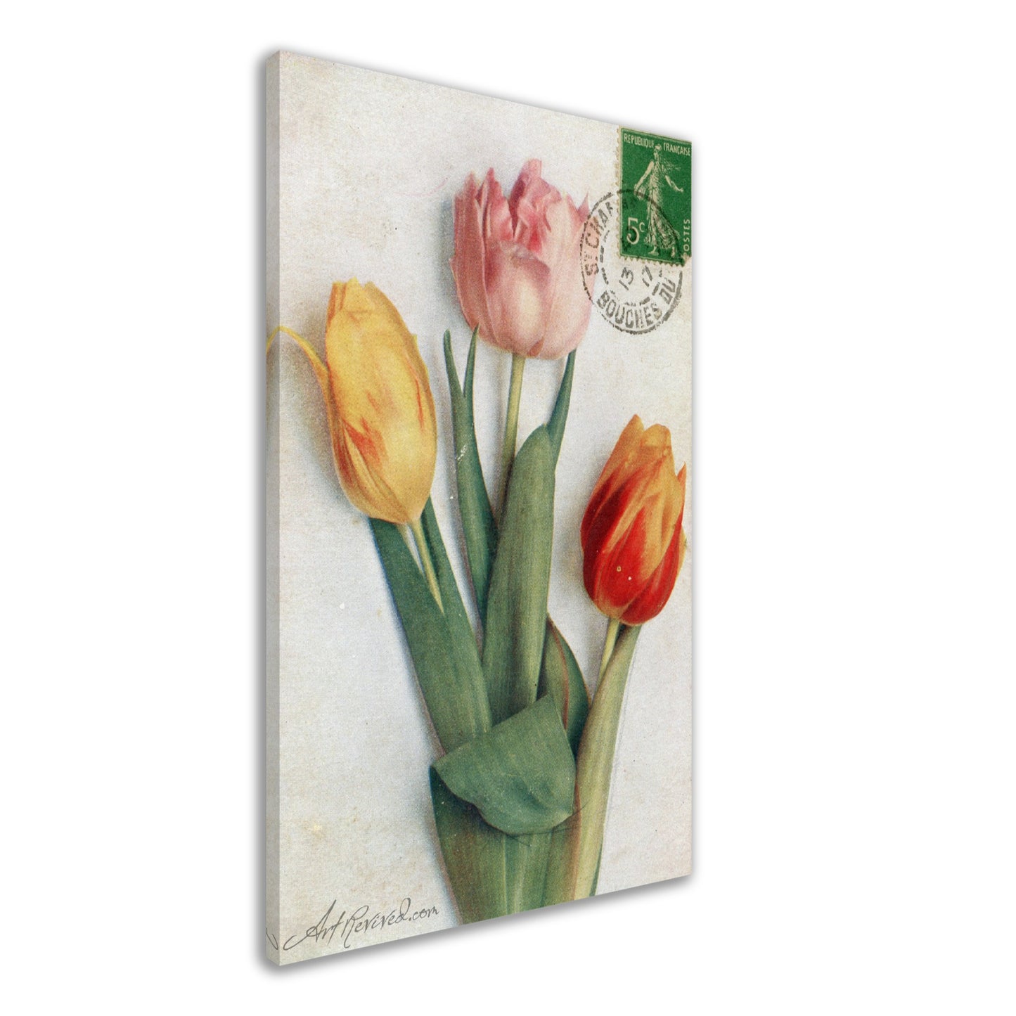 Vintage Tulips Wall Art Canvas - Art Revived (01-13-1907)