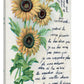 Sun Flowers