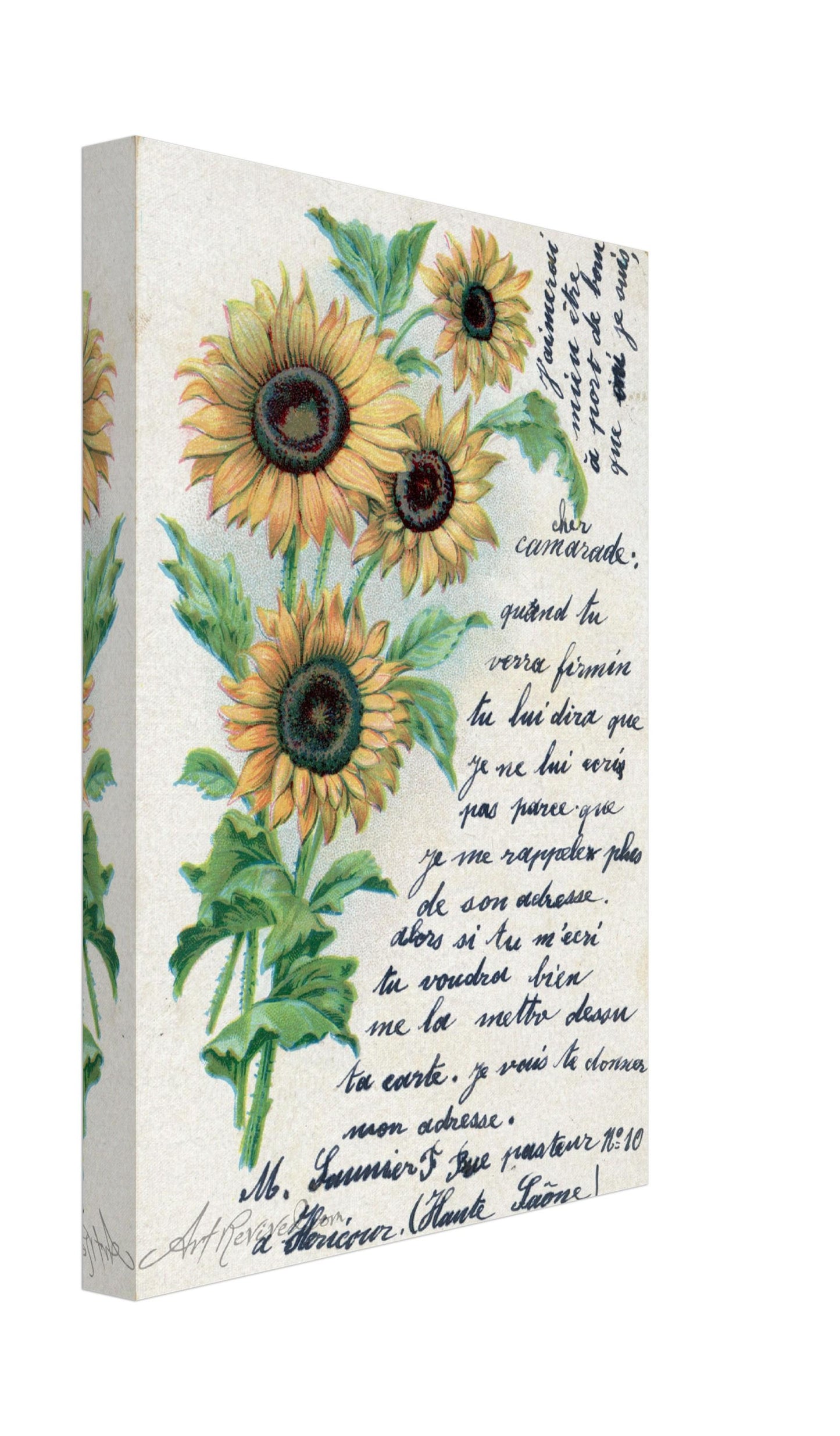 Vintage Sunflowers Wall Art Canvas - Art Revived (03-31-1904)