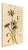 Vintage Red and Blue Flowers Wall Art Canvas (1904)