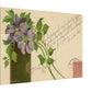 Violet flowers