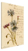 Vintage Red and Blue Flowers Wall Art Canvas (1904)