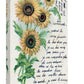 Sun Flowers
