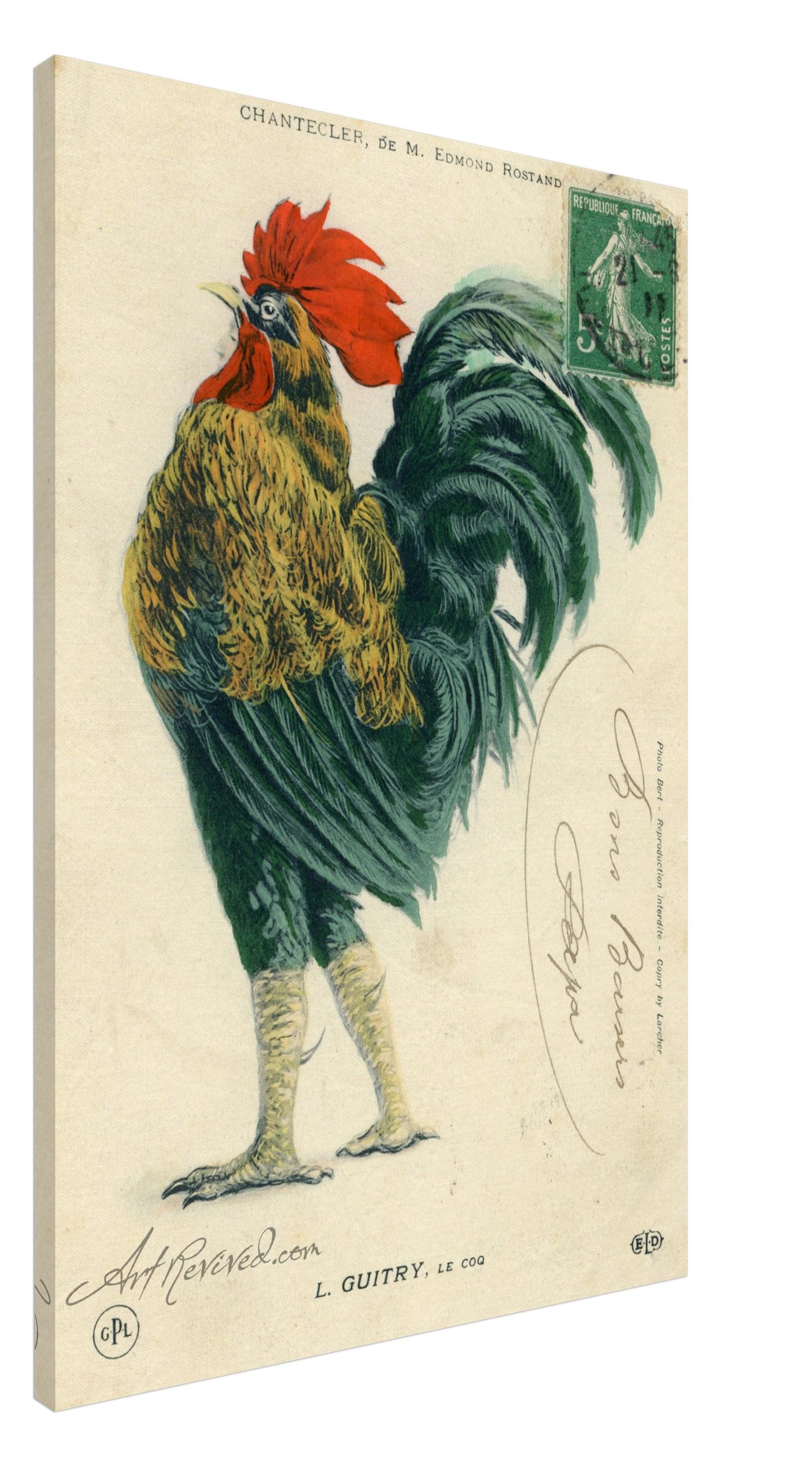 Large Rooster