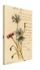 Vintage Red and Blue Flowers Wall Art Canvas (1904)